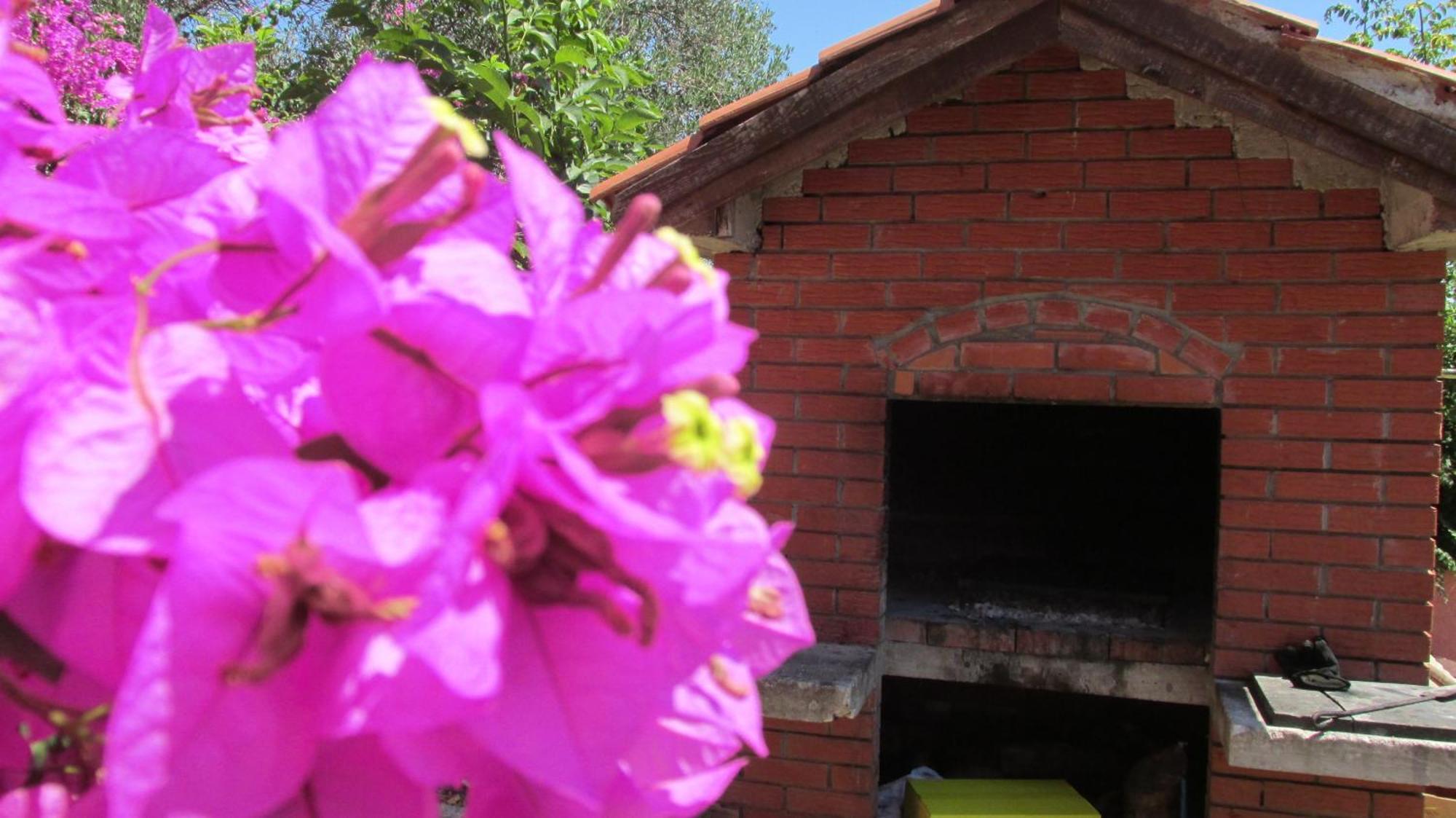 Apartmani Carmen Bibinje Room photo